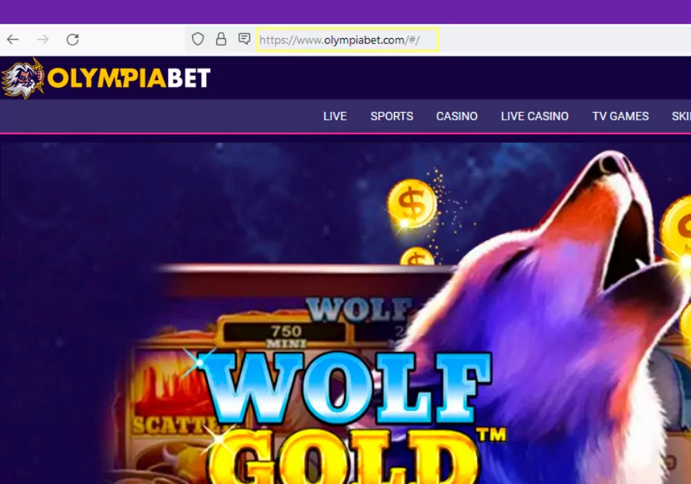 OlympicBet account